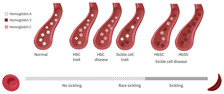 Figure 4: