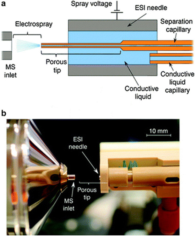 Fig. 4.