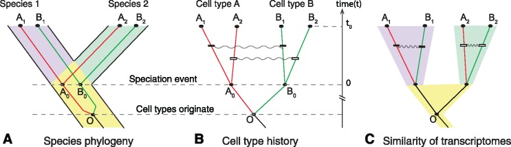 Fig. 1.—