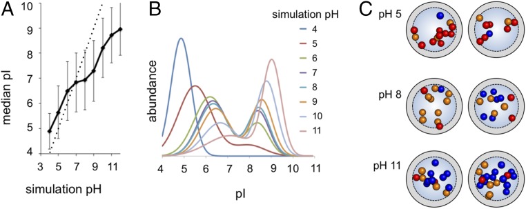 Fig. 5.