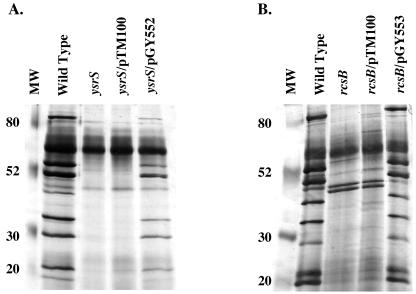 FIG. 7.