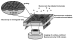 Figure 12.