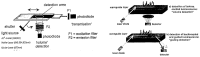 Figure 11.