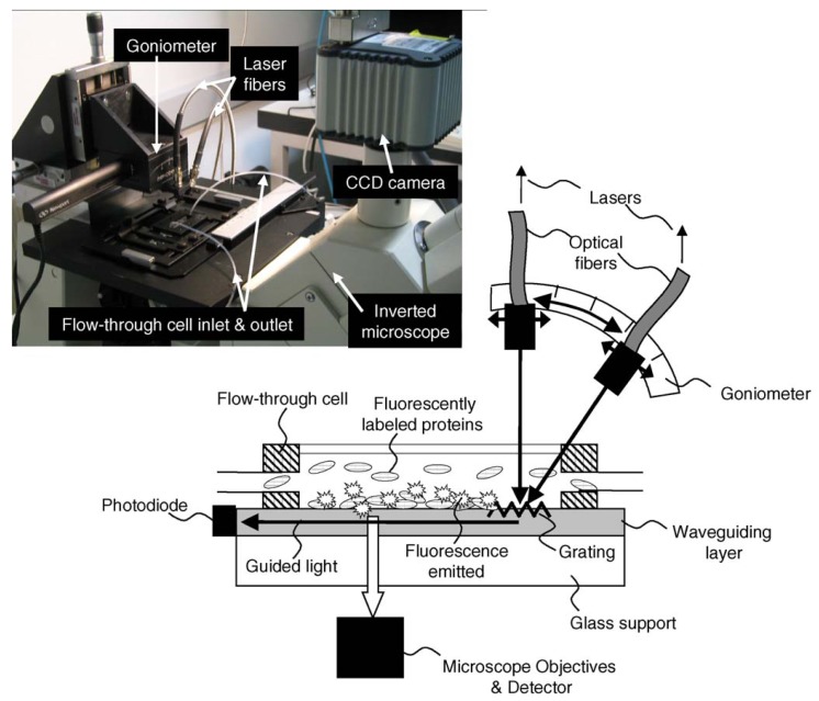 Figure 13.