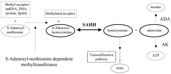 Scheme 1.1