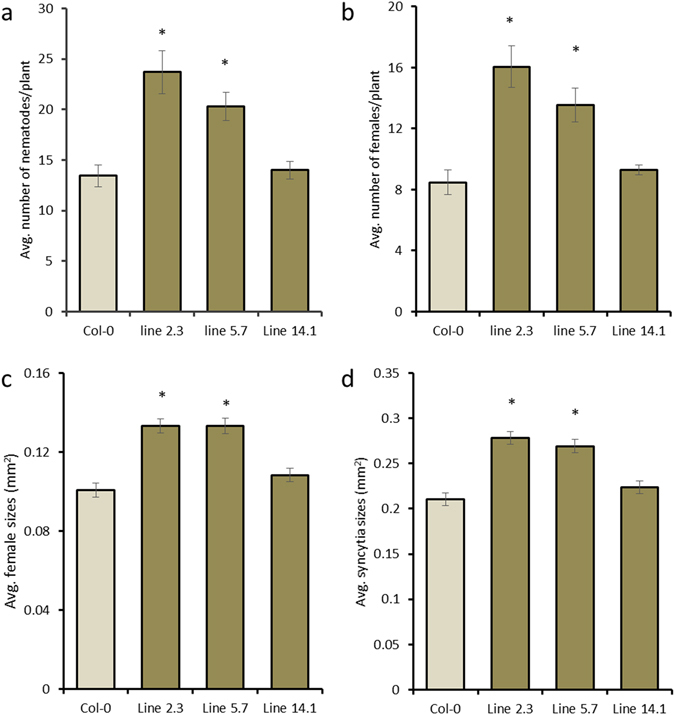 Figure 4