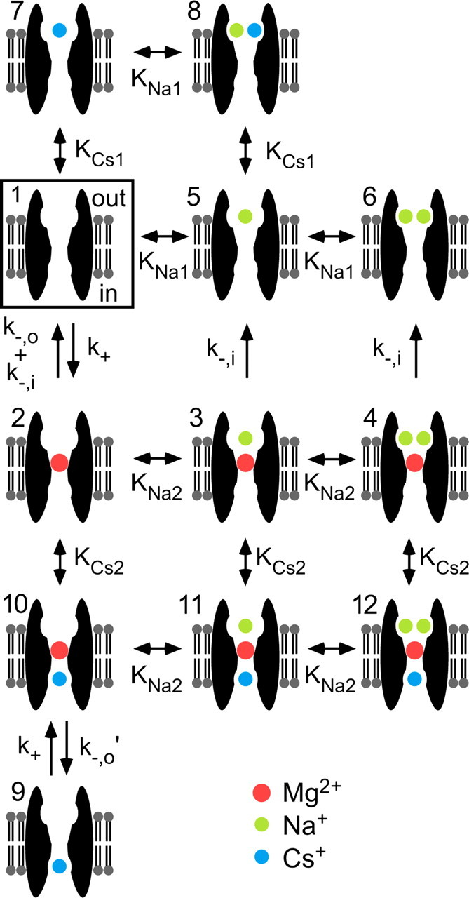 Figure 7.