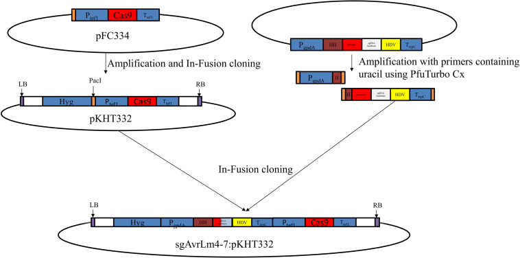 FIGURE 1