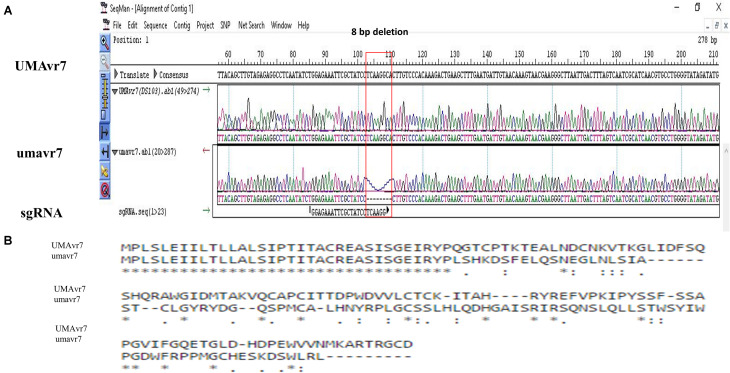 FIGURE 3