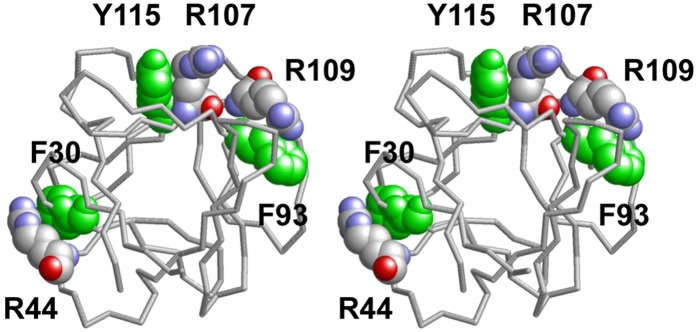 Fig. 11.