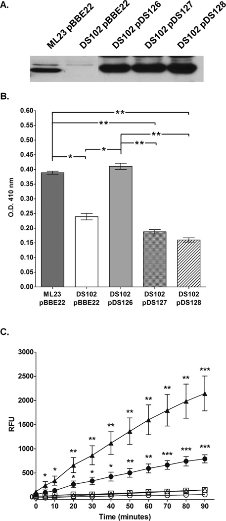 Figure 4