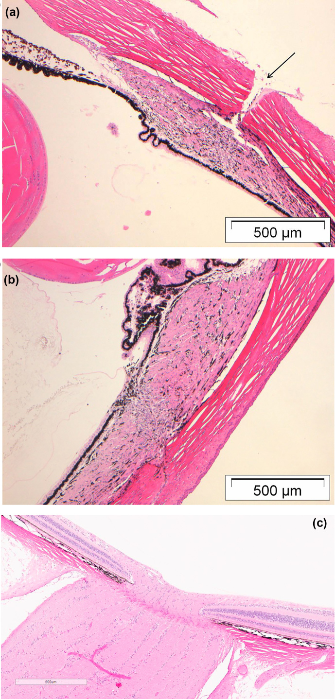 Figure 6