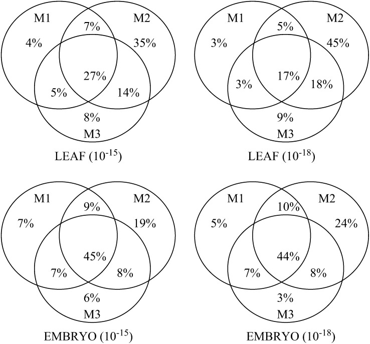 Figure 2.—