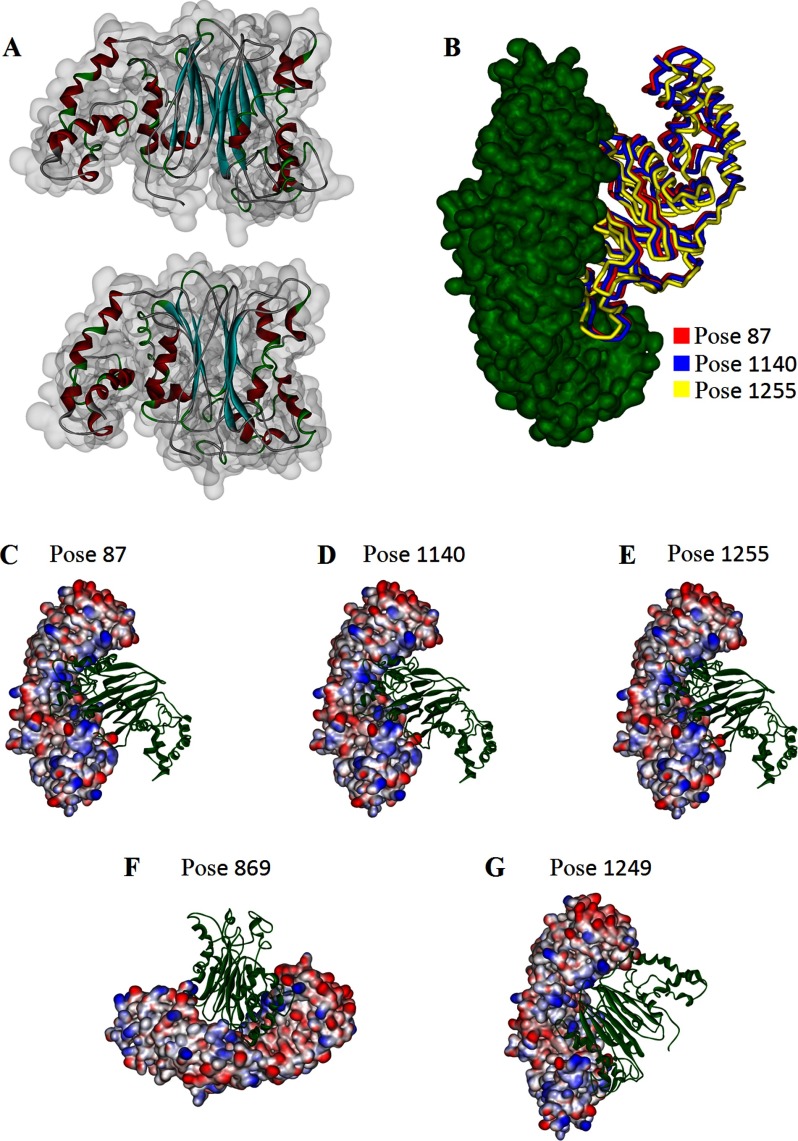 FIGURE 3.