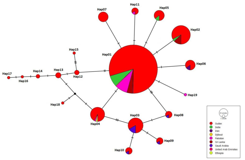 Figure 5