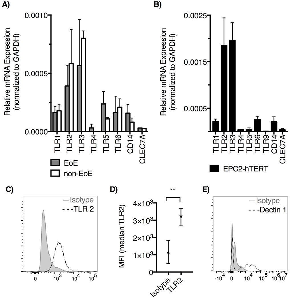 Figure 1: