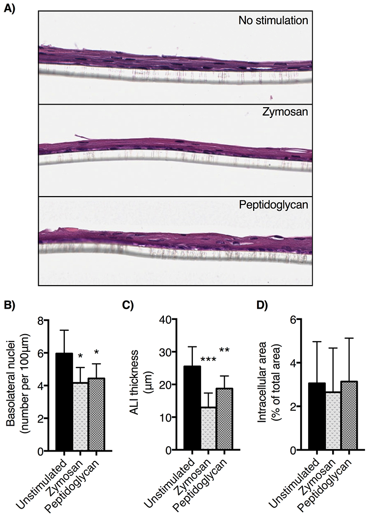 Figure 3: