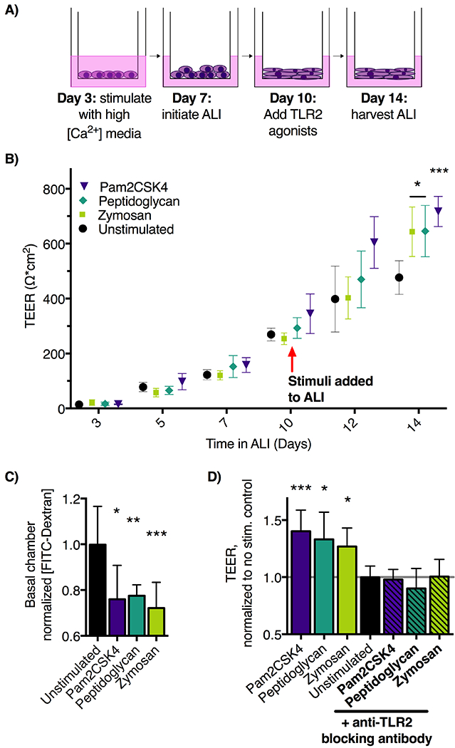 Figure 2: