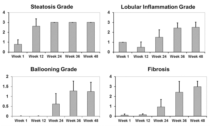 Fig.2: