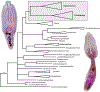 Fig. 1.