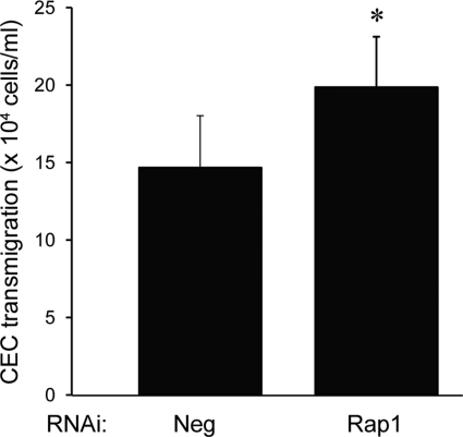 Figure 9.