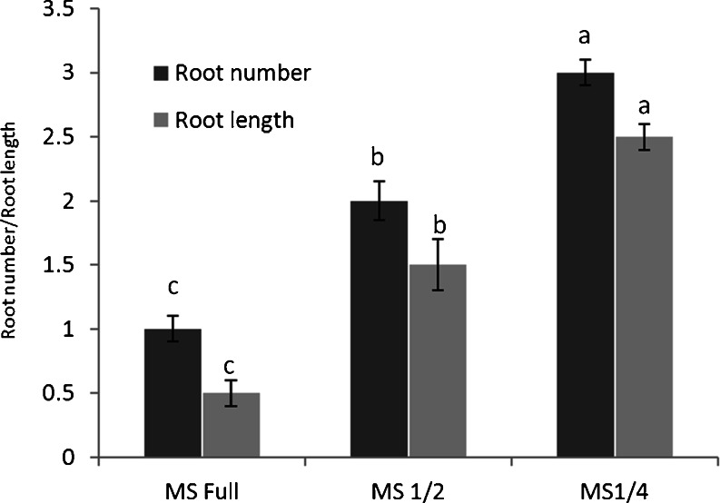 Graph 2