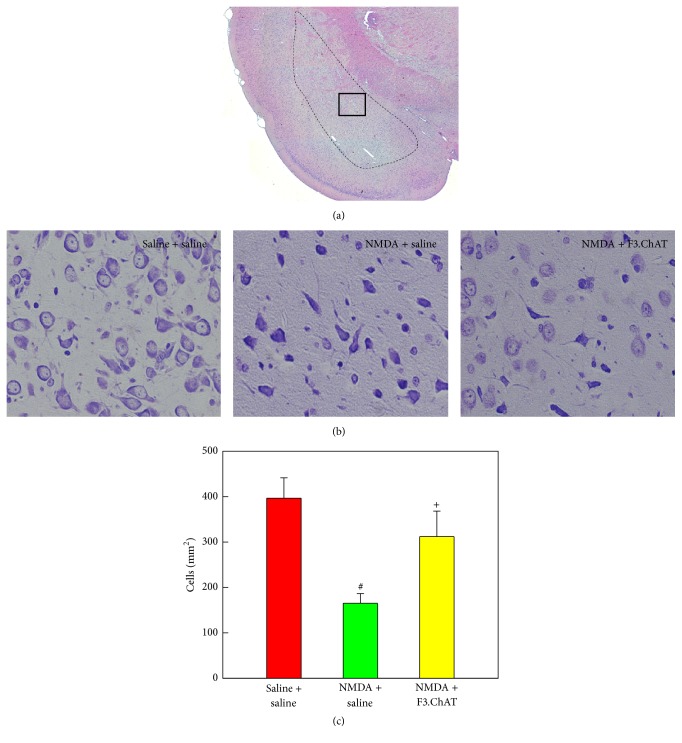 Figure 5