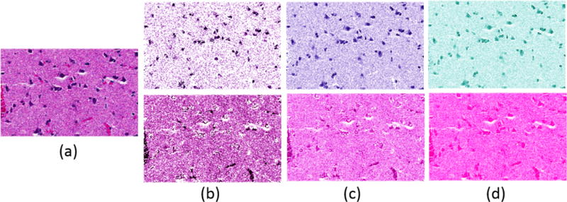 Fig. 3