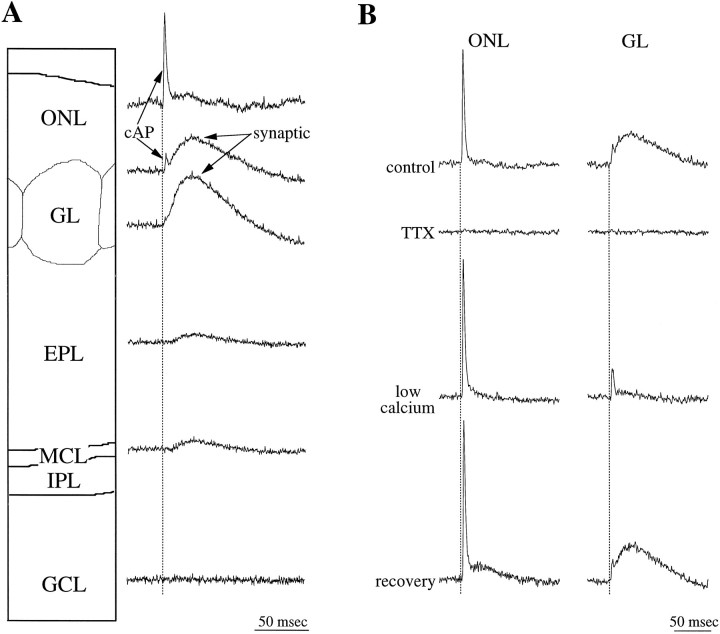 Fig. 1.