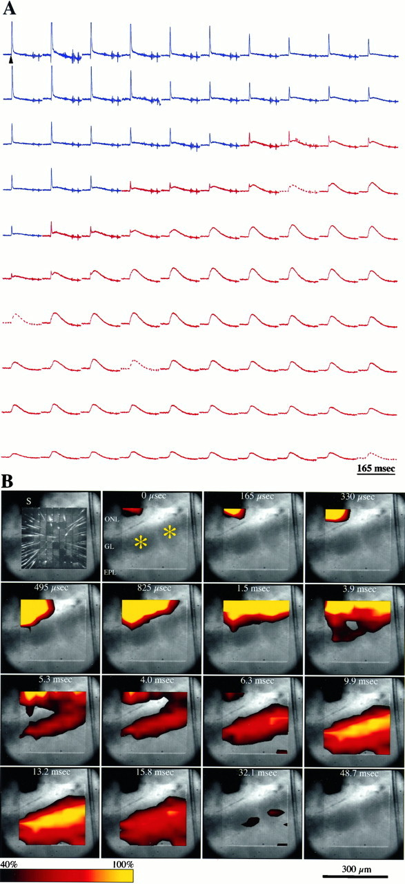 Fig. 2.