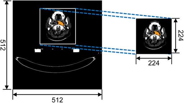 Figure 1.