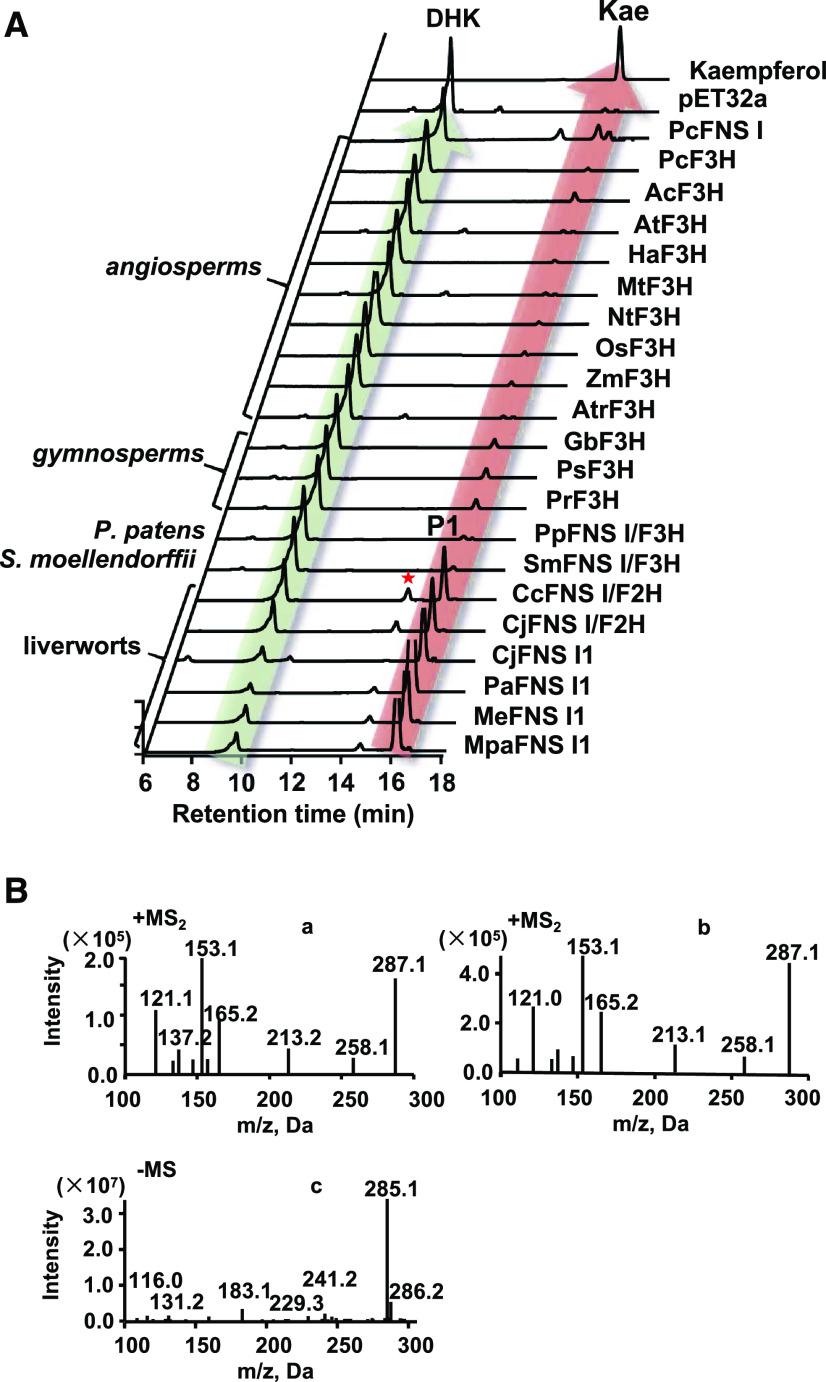 Figure 6.