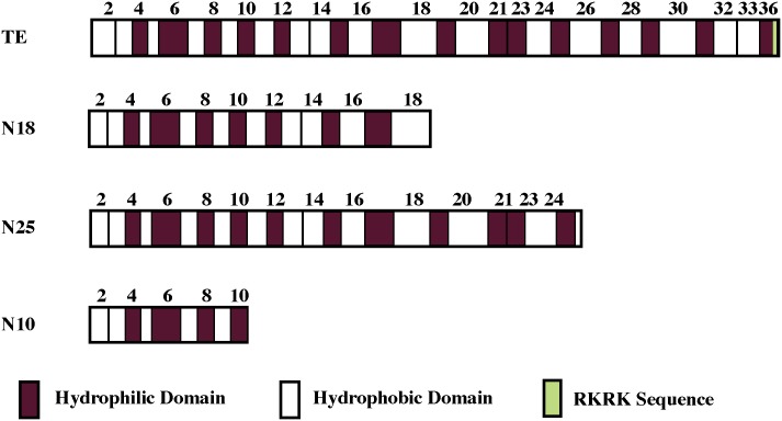 Fig 1