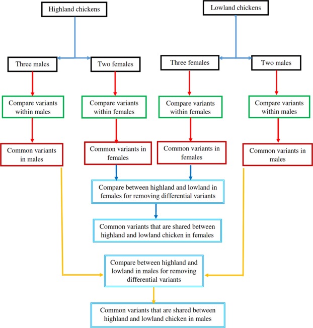 Figure 12