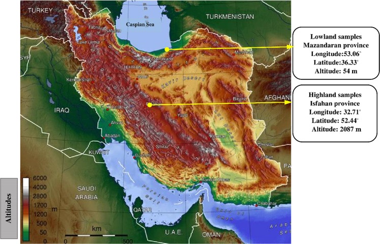 Figure 11