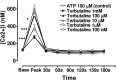 Fig 10