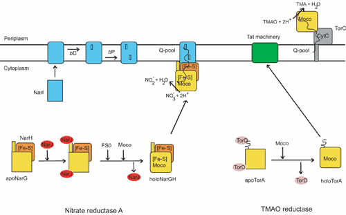 Figure 9