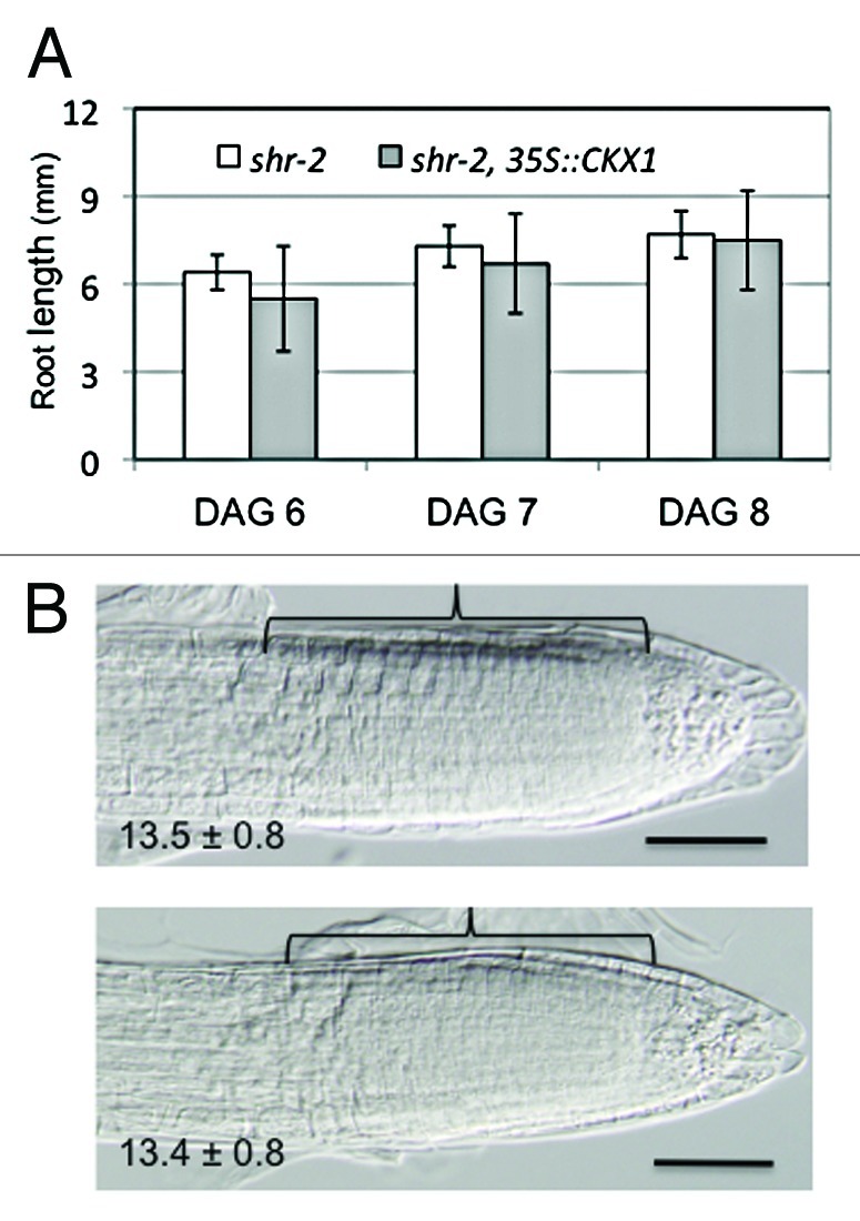 Figure 2. 