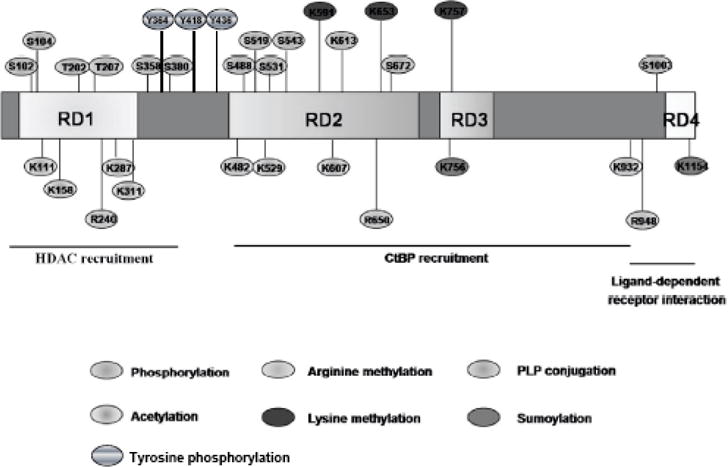 Fig. (1)