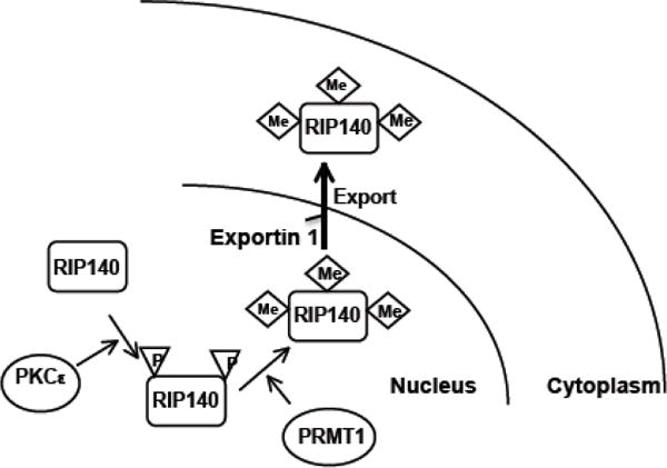 Fig. (2)