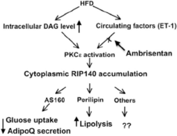 Fig. (3)