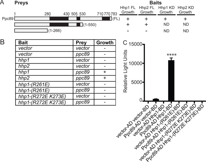 FIGURE 6: