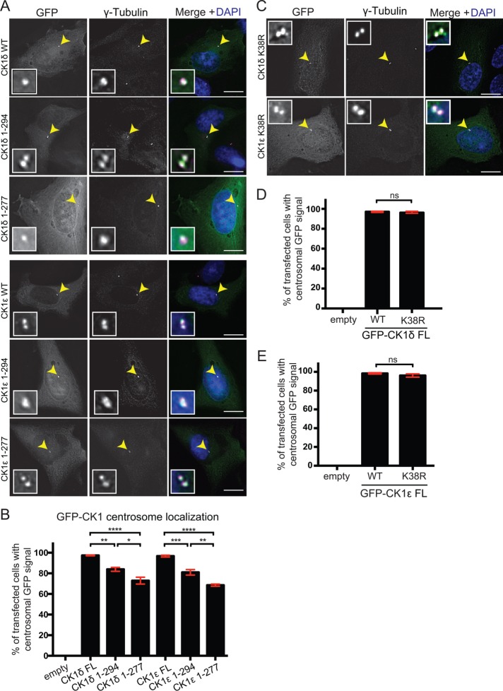 FIGURE 4: