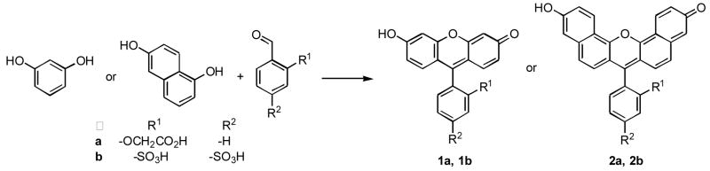 Scheme 1