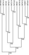 F<sc>IG</sc>. 3.—