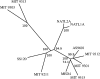 F<sc>IG</sc>. 4.—