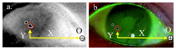 Fig. 3