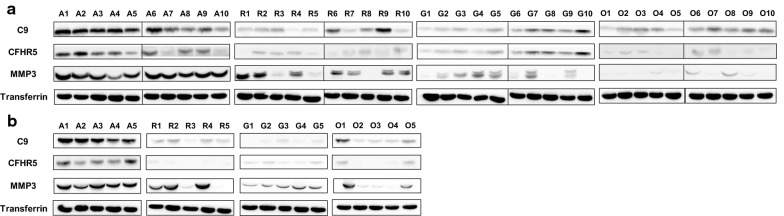 Fig. 4