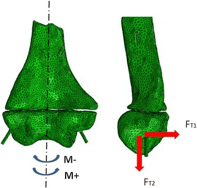 Fig. 2