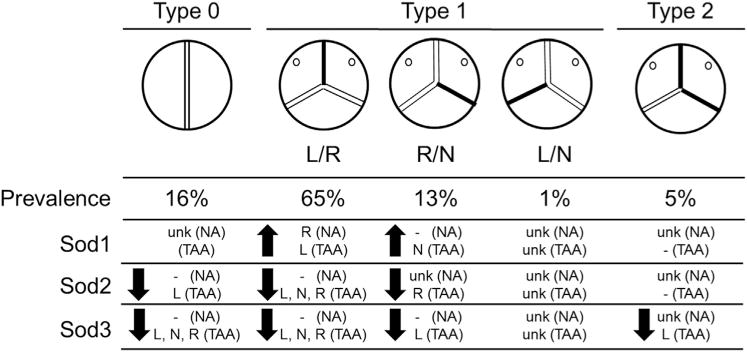 Fig 5